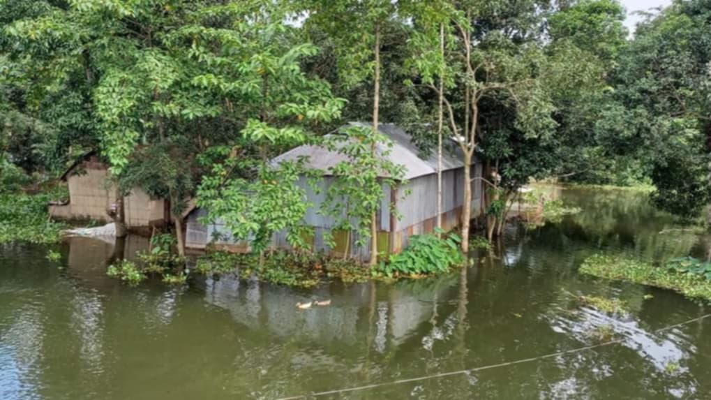 মৌলভীবাজারে ২০ দিন ধরে পানির নিচে সরকারি অফিস-হাসপাতাল