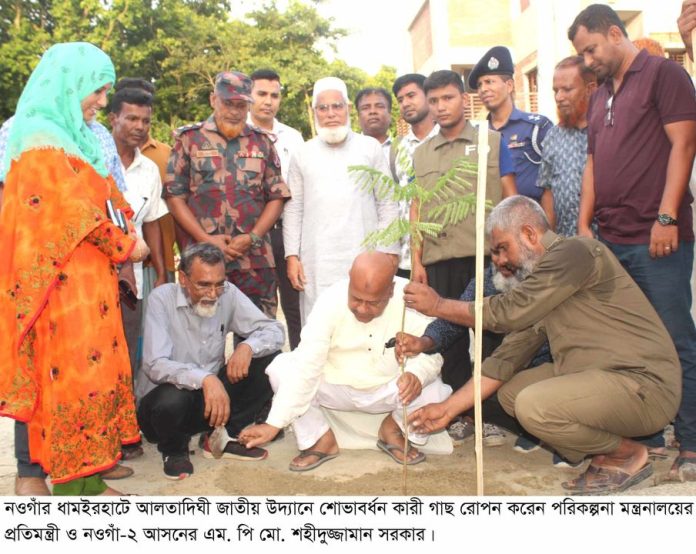 ধামইরহাটে পরিকল্পনা প্রতিমন্ত্রী শহীদুজ্জামান সরকারের শোভাবর্ধনকারী গাছ রোপন