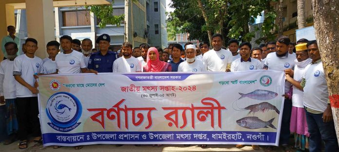 নওগাঁর ধামইরহাটে জাতীয় মৎস্য সপ্তাহ উদযাপন: সফল মৎস্য চাষীদের সম্মাননা