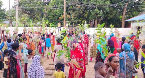 নওগাঁয় ছয়শত ফলজ বনজ ও ঔষধি গাছের চারা বিতরণ