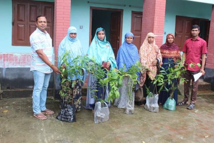 নওগাঁয় ডাসকো ফাউন্ডেশনের উদ্যোগ বৃক্ষ রোপণ কর্মসূচি অনুষ্ঠিত
