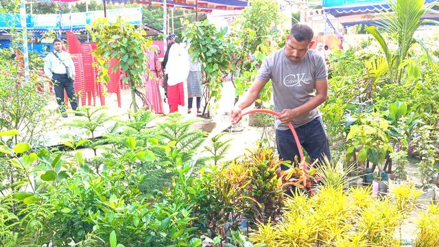 নওগাঁতে গাছের সমারোহ, শুরু হলো সাত দিনব্যাপী বৃক্ষমেলা