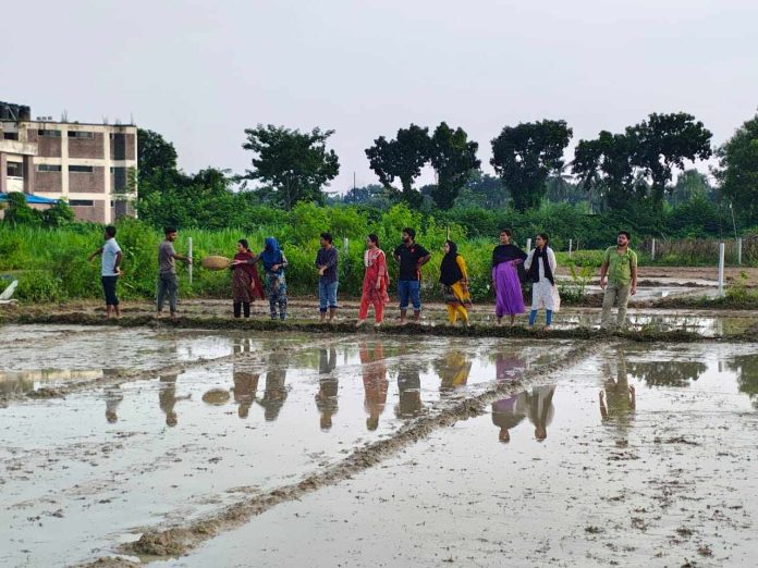 হাবিপ্রবি শিক্ষার্থীদের বিনামূল্যে ১০ লক্ষ সবজি চারা বিতরণের উদ্যোগ
