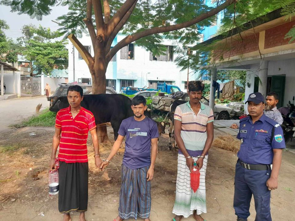 চাঁপাইনবাবগঞ্জে চুরি হওয়া তিনটি গরুসহ তিন চোর আটক
