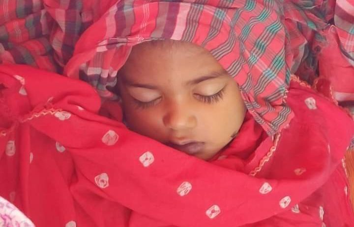 ঈশ্বরদীতে বিষাক্ত পোকাড় কামড়ে শিশুর মৃত্যু