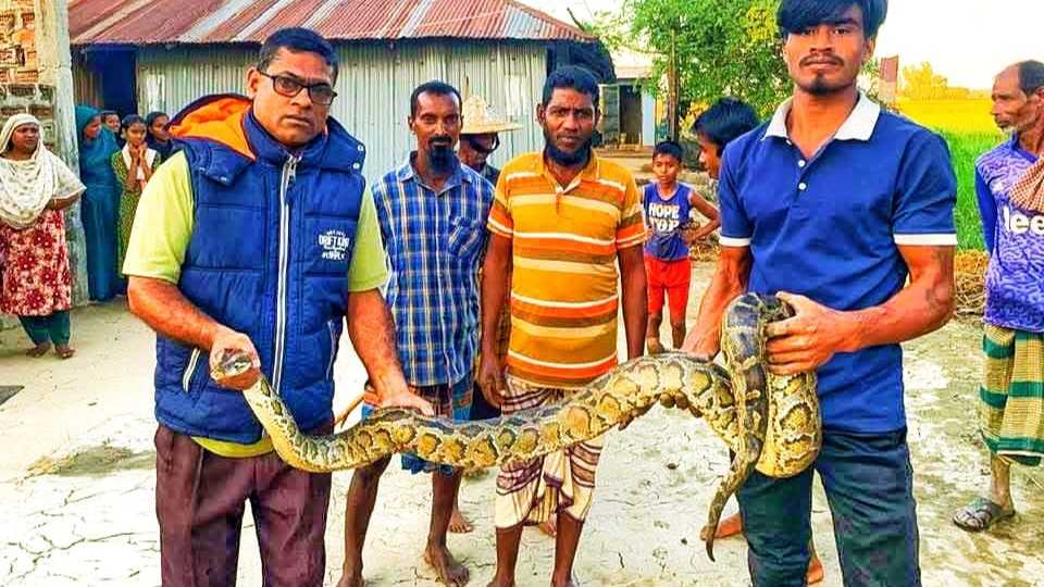 নিশ্চিত মৃত্যুর হাত থেকে রক্ষা পেল অজগর