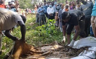 হ'ত্যা মামলার আড়াই বছর পর কবর থেকে তিন যুবকের লাশ উত্তোলন