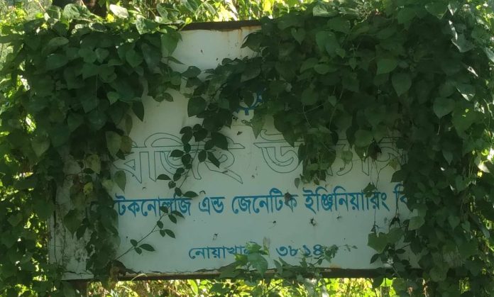 নামফলকে থাকলেও কাজে নেই নোবিপ্রবির বিজিই উদ্যান