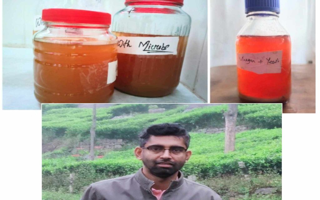 খাদ্য প্রক্রিয়াজাতকরণে নতুন দিগন্ত: বন্য খেজুর থেকে ভিনেগার তৈরি