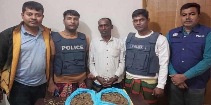 গাঁজাসহ মাদক কারবারি পুলিশের জালে