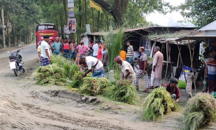 ঘাস বিক্রি করে জীবিকা নির্বাহ যমুনা পাড়ের মানুষ