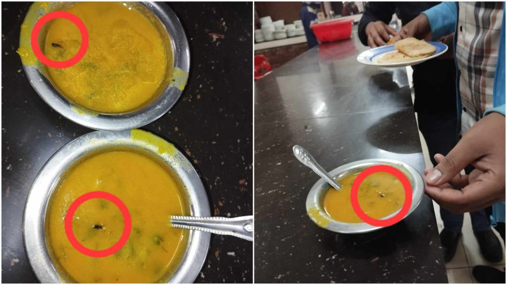 জাবি ক্যাফেটারিয়ায় চড়া দামে মৃত মাছি পড়া খাবার পরিবেশন
