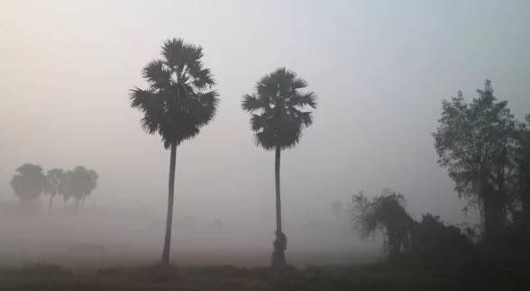 তীব্র শীতে জবুথবু বাগেরহাটের জনপদ, দেখা নেই সূর্যের