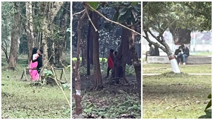 বাকৃবিতে বহিরাগতদের অশ্লীলতা : বিব্রত শিক্ষার্থীরা