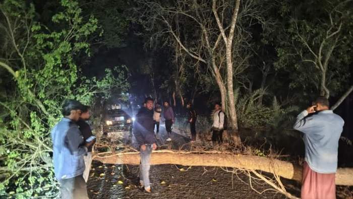 নওগাঁর পত্নীতলায় সড়কে গাছ ফেলে দুর্বৃত্তদের তাণ্ডব, পুলিশের দাবি ছিনতাই