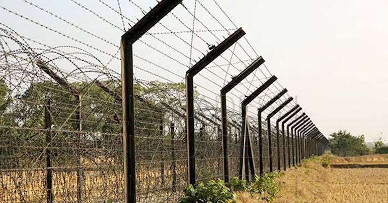 বাংলাদেশের ভেতরে ঢুকে ৫ কৃষককে পেটালো বিএসএফ