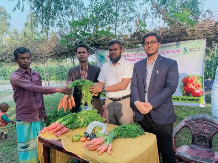চরাঞ্চলের কৃষকদের জন্য গাজর-টমেটো চাষের প্রশিক্ষণ দিলো বাকৃবি অধ্যাপক
