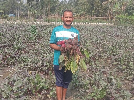 বিটরুট চাষে সাফল্যের দ্বারপ্রান্তে নীলফামারীর উদ্যোক্তা আবু সুফি আহমেদ