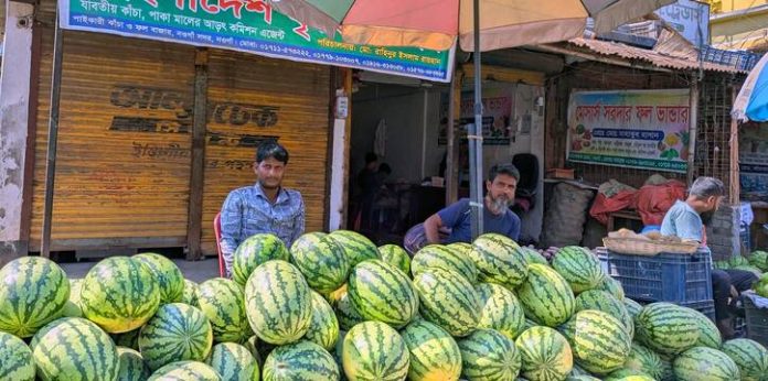 রমজানের শুরুতেই নওগাঁয় তরমুজের সরবরাহ ভালো, দামও তুলনামূলক কম