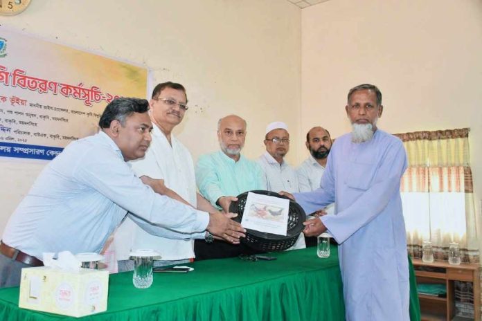 বাকৃবিতে ‘দেশীয় জাতের মোরগ-মুরগি বিতরণ কর্মসূচি-২০২৫’ অনুষ্ঠিত