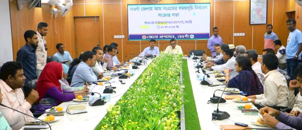 "গ্রীষ্ম মানেই আমের উৎসব, ২২ মে থেকে রাজত্ব শুরু নওগাঁর রসালো রত্নের!"